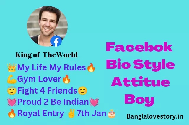 Facebook Bio Style Attitude Boy
