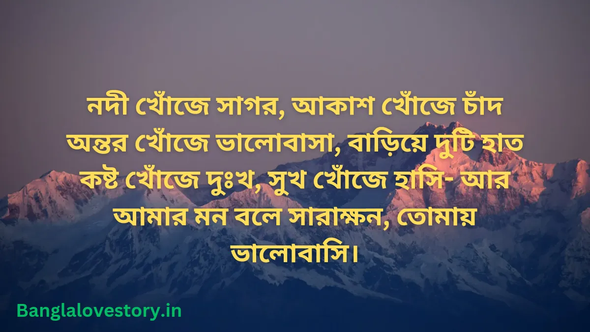 ৬০ টি বাছাই করা বাংলা শায়েরী 4 লাইনে Attitude বাংলা শায়েরী 4 লাইনে
