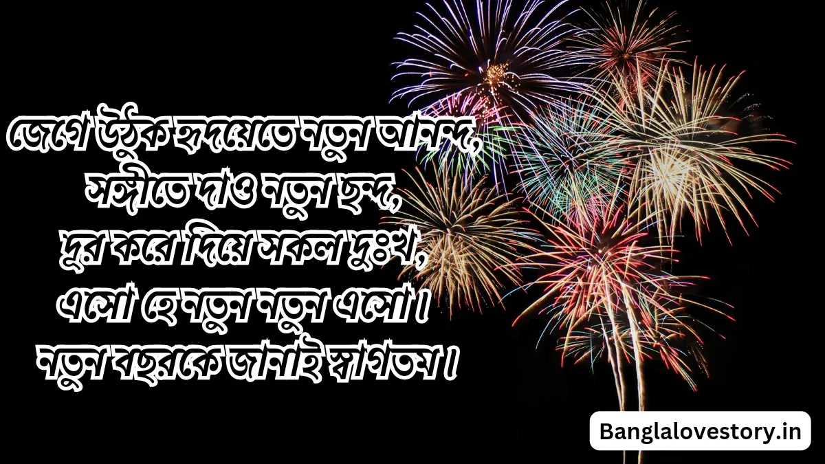 হ্যাপি নিউ ইয়ার শুভেচ্ছা ছবি